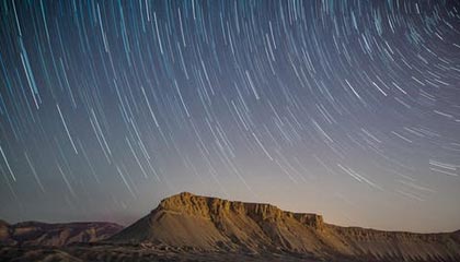 厦门天聚茗茶茶业有限公司成立，注册资本200万人民币