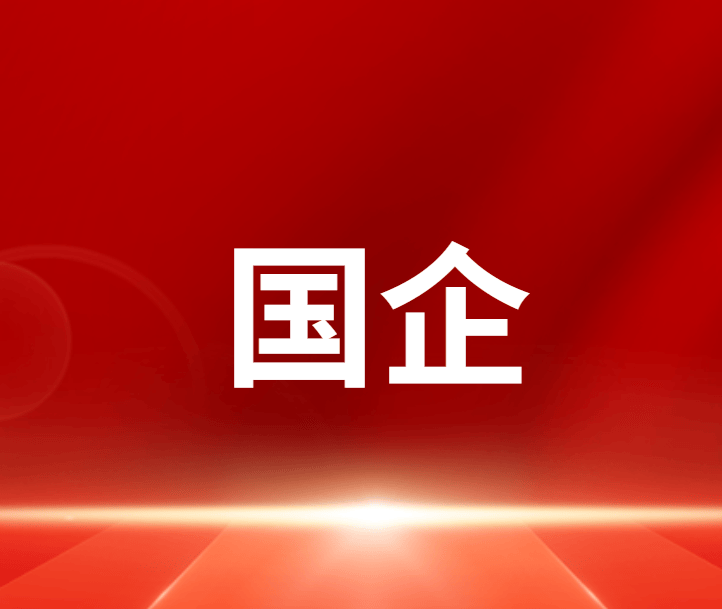 潍坊市招商发展集团有限公司部分岗位社会招聘公告