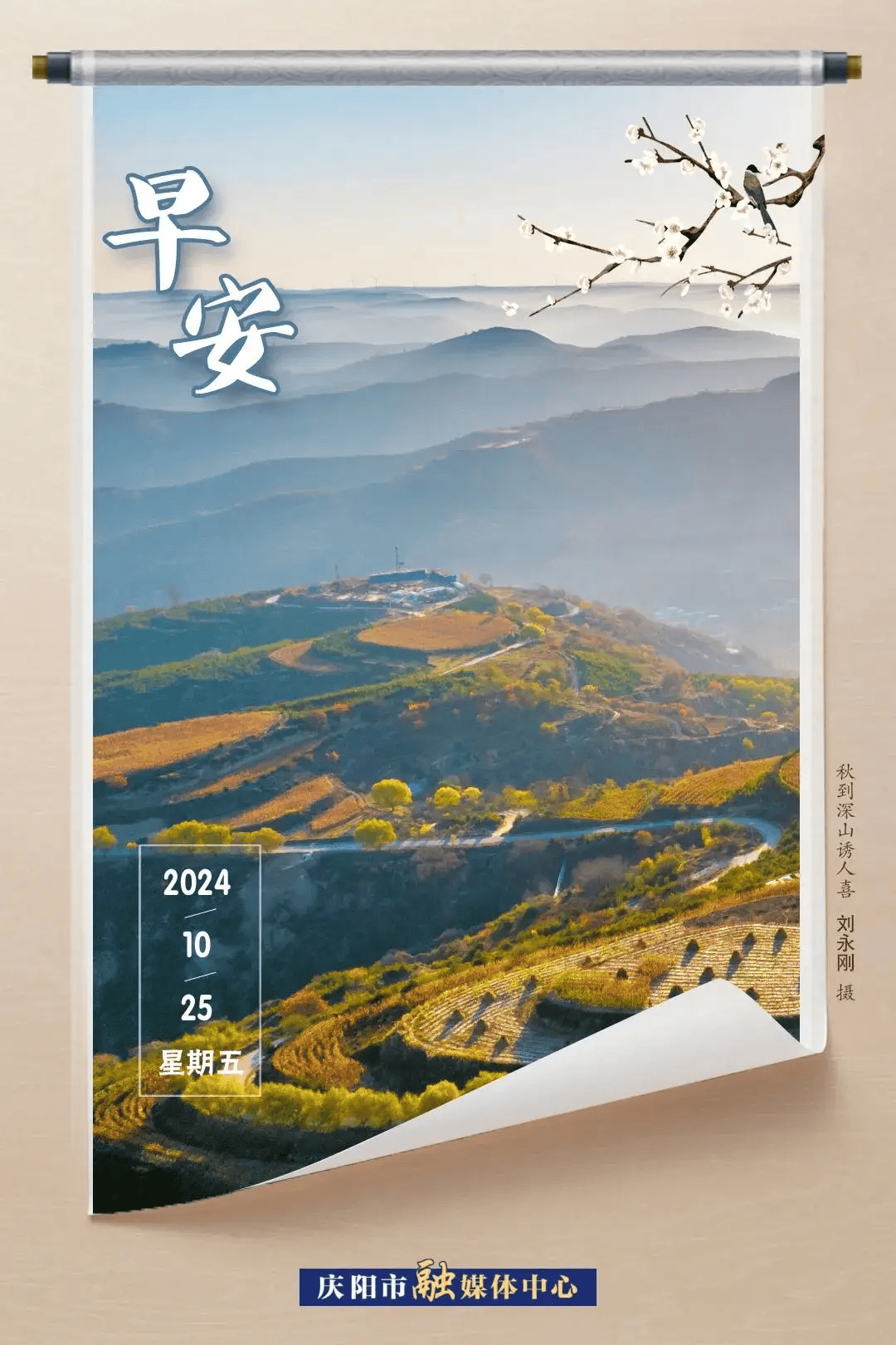 早安庆阳丨延迟！附考试日程安排表