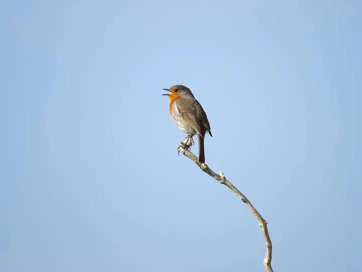 散户场外期权开户选哪个平台好？