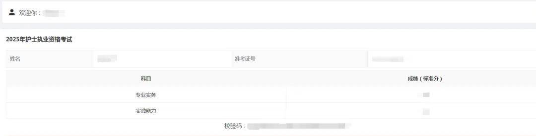 25年护士执业资格考试成绩查询说明