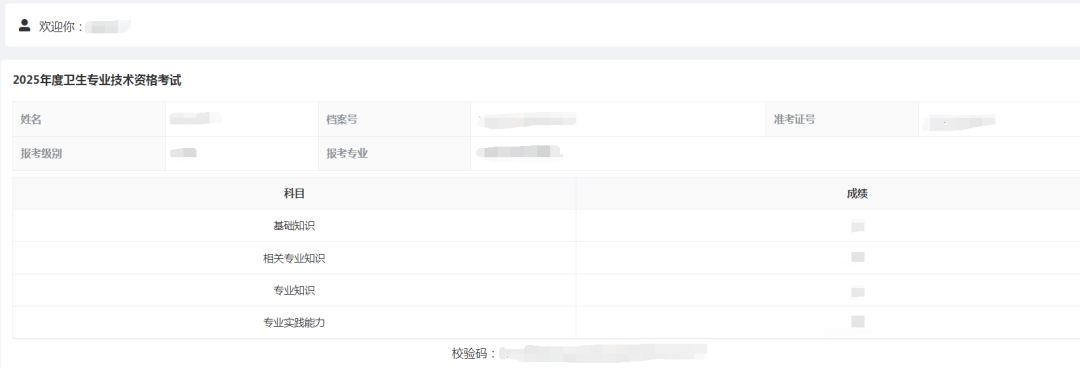 2025年度卫生专业技术资格考试成绩查询说明