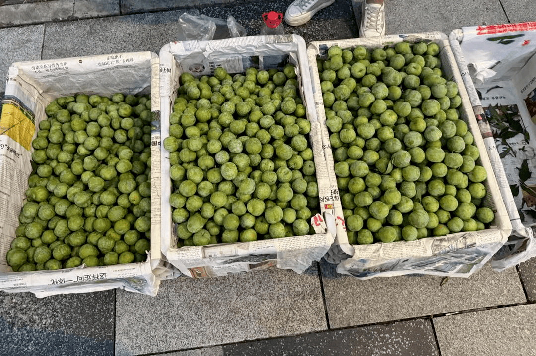 成都街头9.8元/斤的“蜂糖李”其实是青脆李？专家：存在以次充好情况，注意辨认｜追踪到底