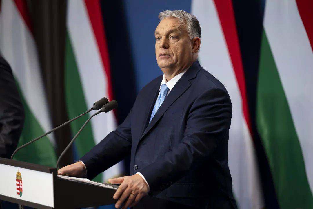 欧盟27国中，26国支持乌克兰入盟