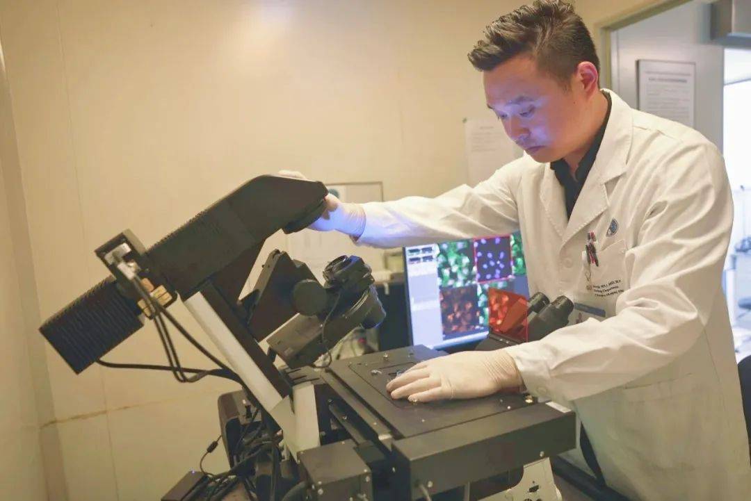 热烈祝贺！医院泌尿外科吴震杰教授喜获第二十届“银蛇奖”