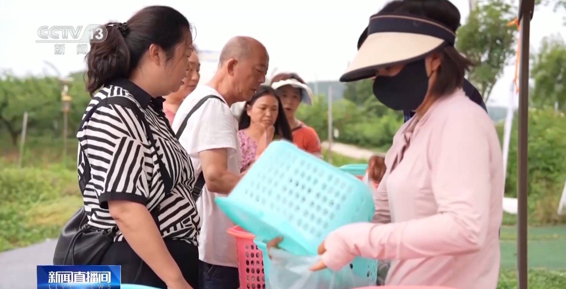 7月农村电商消费红火 物流业务量加速回升