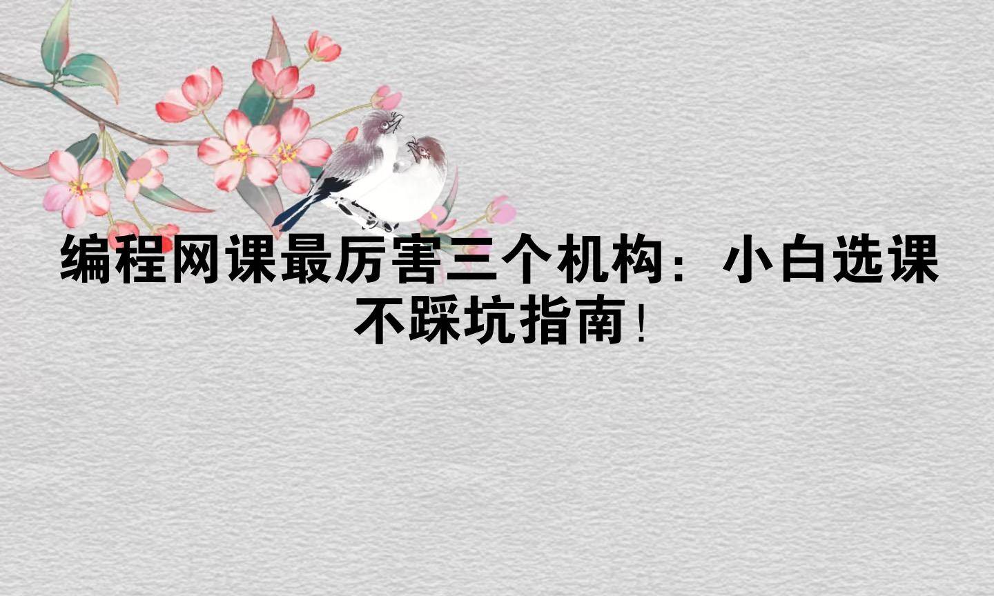编程网课最厉害三个机构：小白选课不踩坑指南！