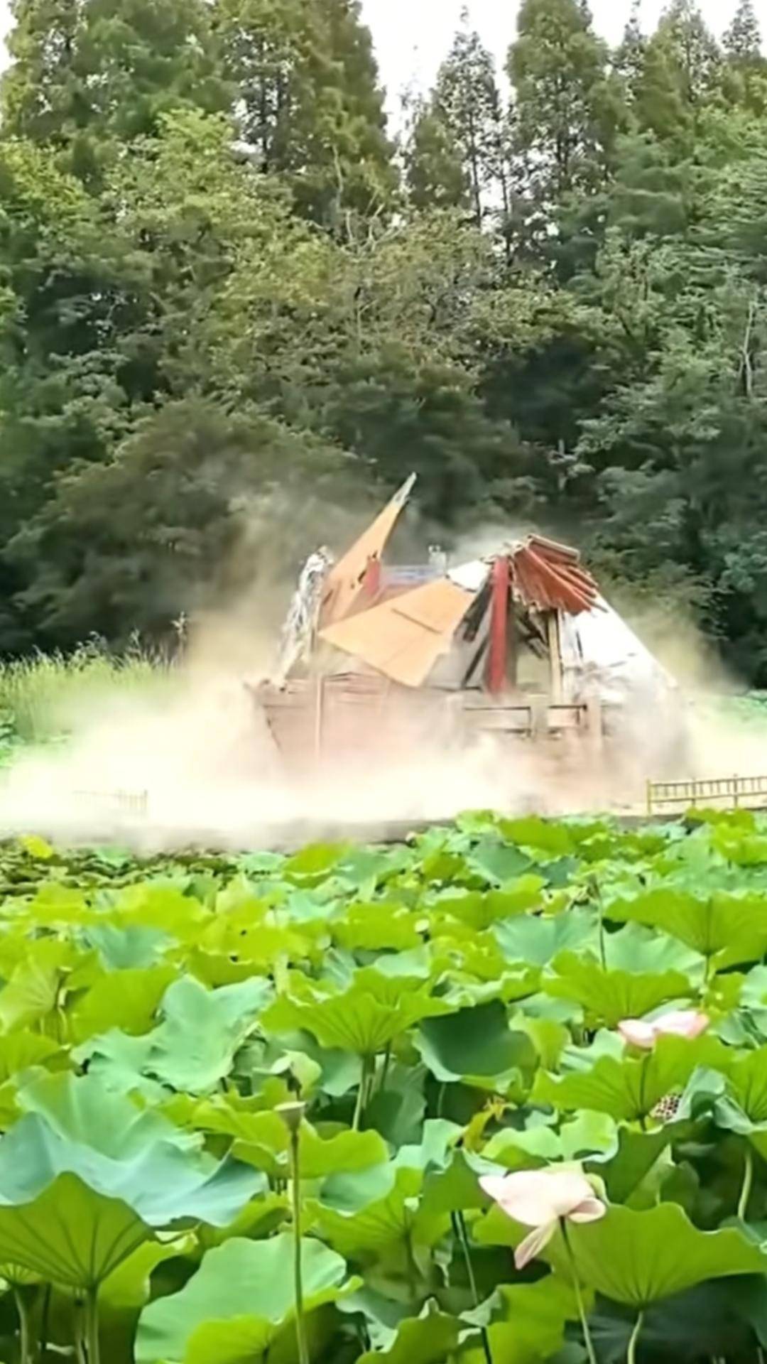 青岛中山公园一凉亭突然倒塌:一年前刚完成修缮,园方称无伤亡原因待查