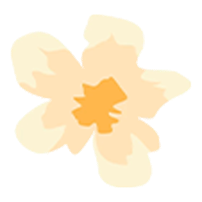 【贵人服务】道路运输从业人员从业资格证｜您职业路上的“通行证”与“护身符”