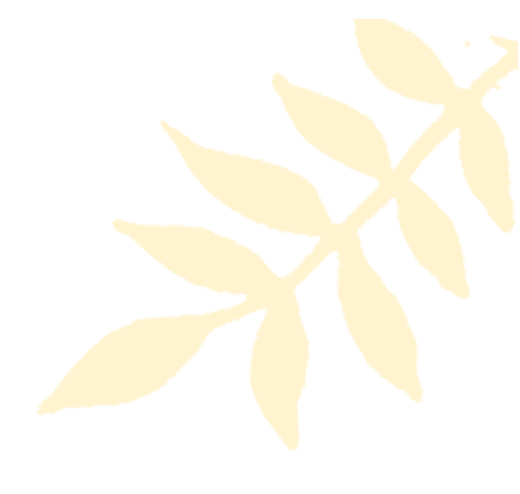 【贵人服务】道路运输从业人员从业资格证｜您职业路上的“通行证”与“护身符”