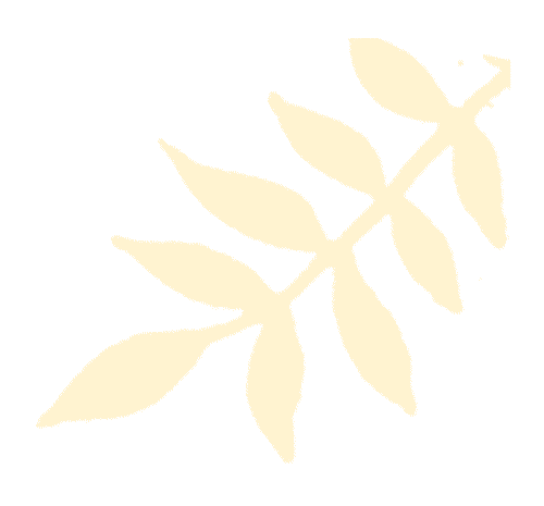 【贵人服务】道路运输从业人员从业资格证｜您职业路上的“通行证”与“护身符”