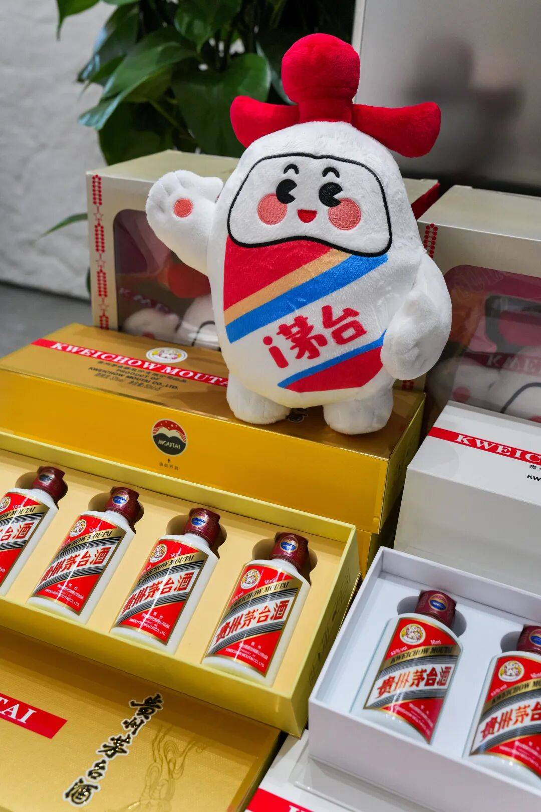 想喝到茅台酒其实并不难！实地探访贵阳专卖店