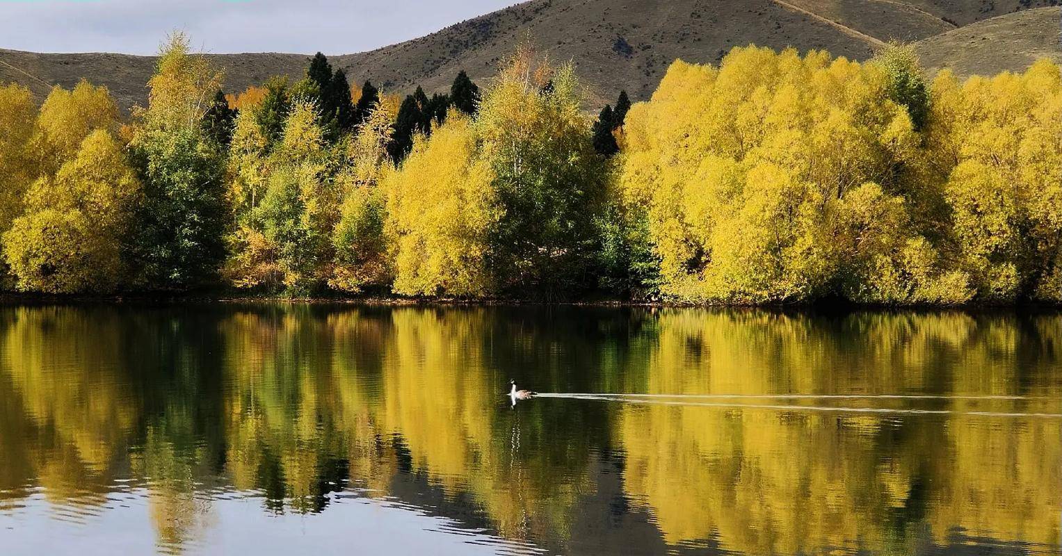 新西兰工签新政延续利好,首经贸国际本科架起中纽人才桥梁