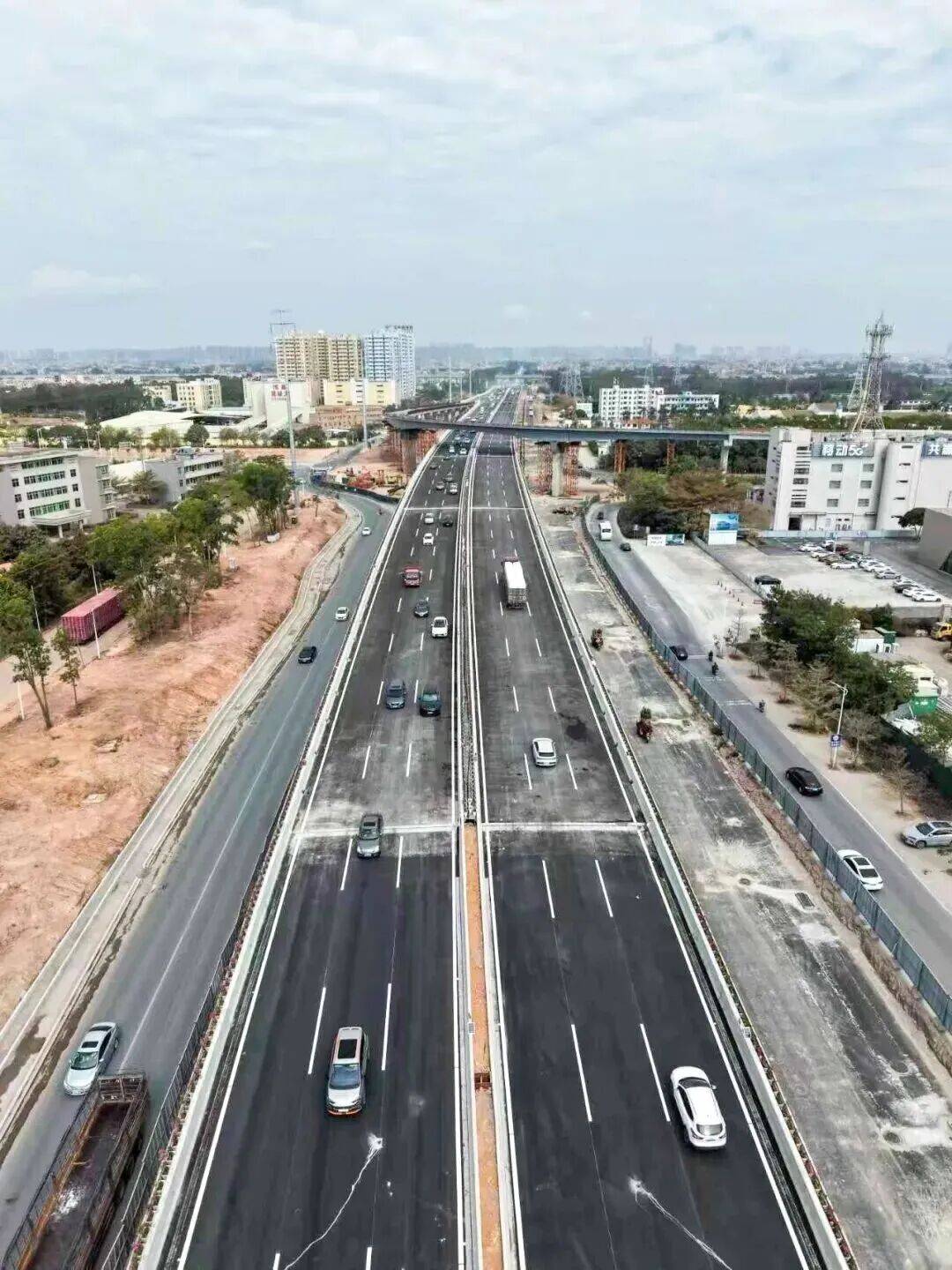 茂名发展动态(122) | 茂名罗非鱼交易中心平台正式上线；市民大道立交主线桥试通车；高州一小迁建项目动工！