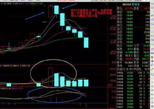 xrp做空什么意思(做空cds是什么意思)