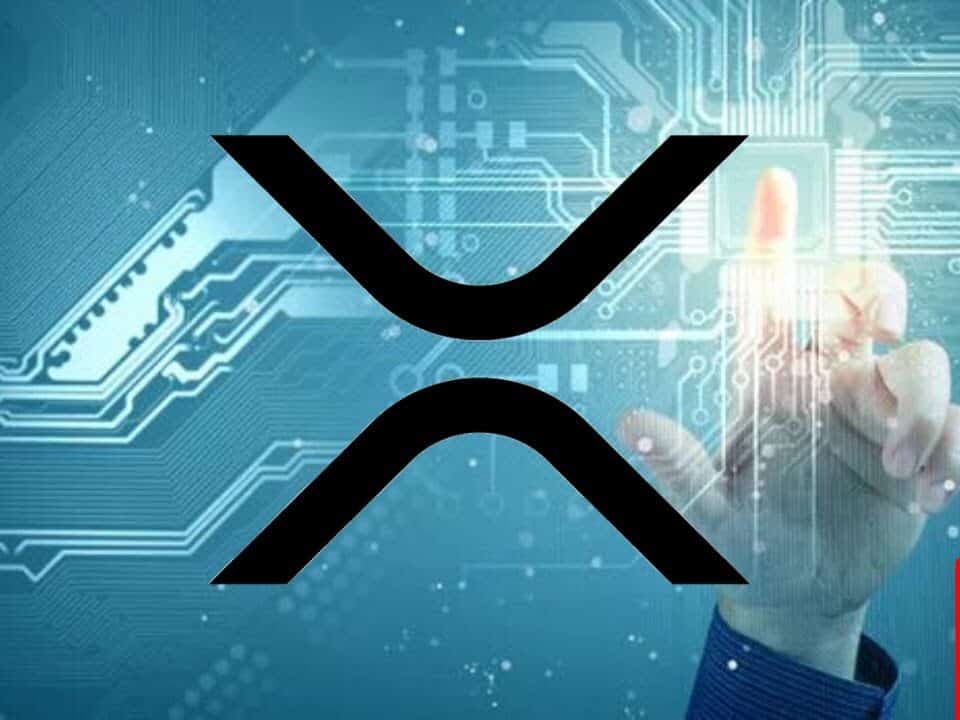 xrp有哪些公链(区块链xrp是什么意思)