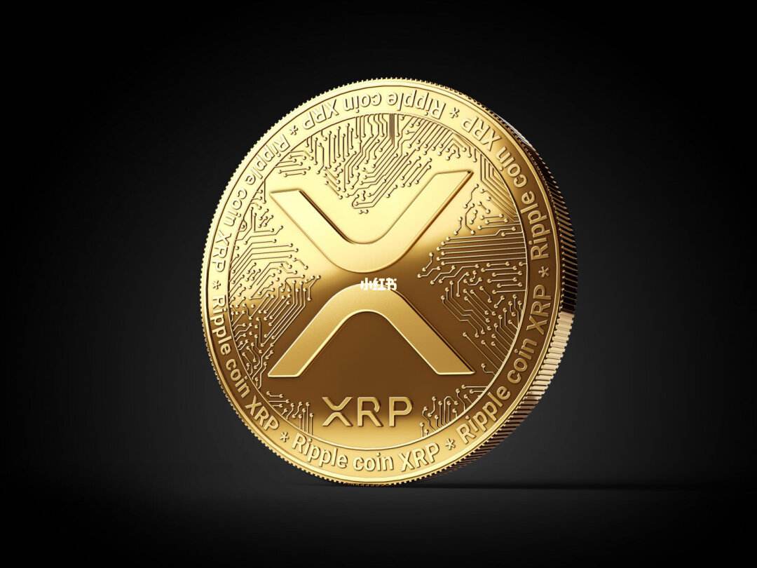 xrp几号房币(xrp币2021最新动态)