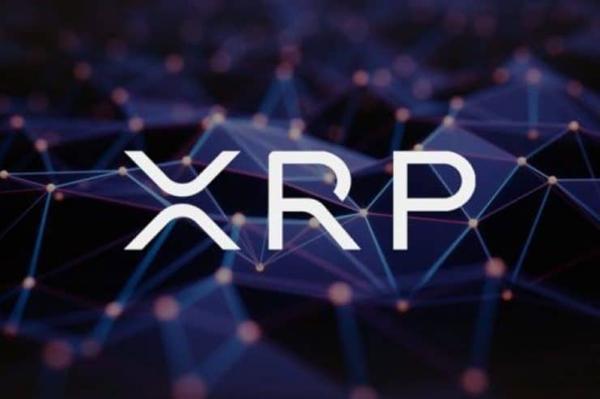提现瑞波币xrp(瑞波币提现手续费多少)