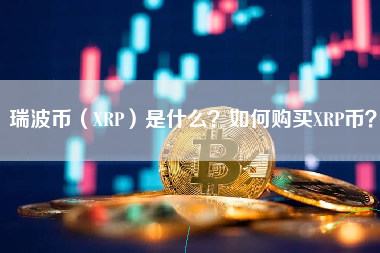 xrp币上交易所了吗(xrp币最新消息2020)