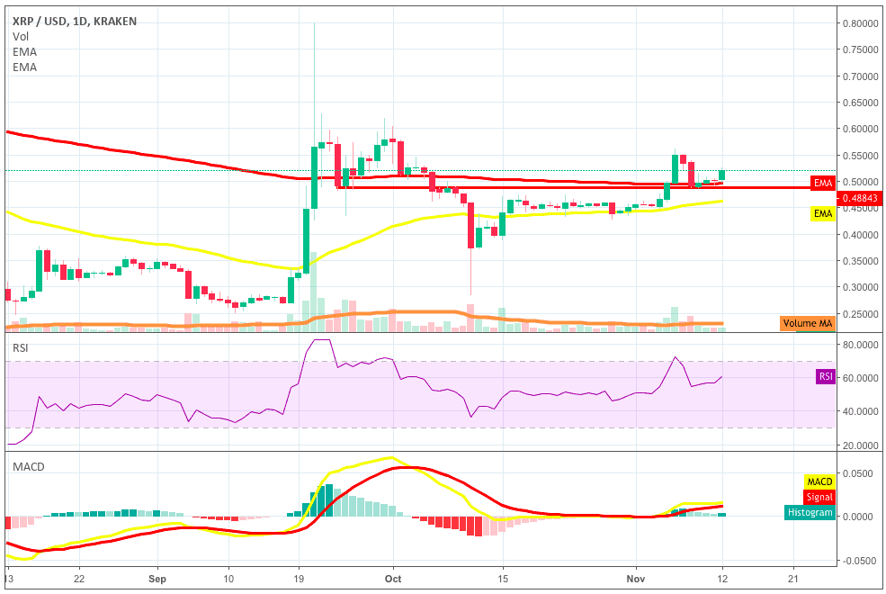 xrp什么时候涨(xrp最低价格什么时候)