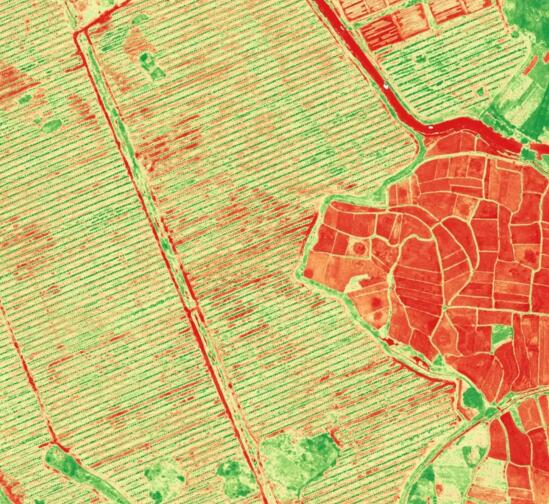 XRP和XAG的关系(xrp和xag币之间关系)