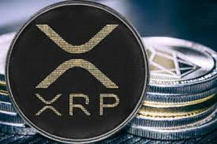 xrp添加地址(中网xrp地址为什么会提示未认证信息)