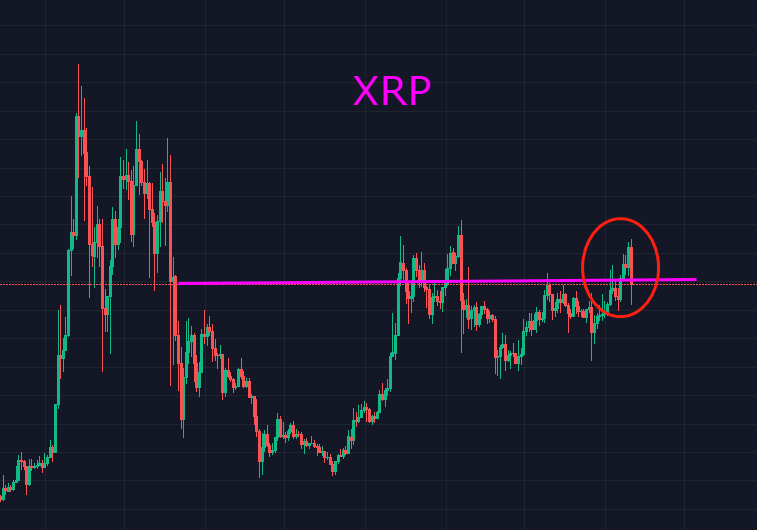 xrp有可能反转吗(苹果xr可以被反向充电么)
