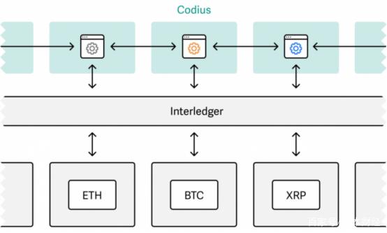 xrp合约(xrp币官网)