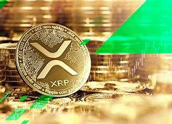 包含xrp转移的词条