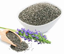 CHIA(chiang Mai) CHIA(chiang Mai)