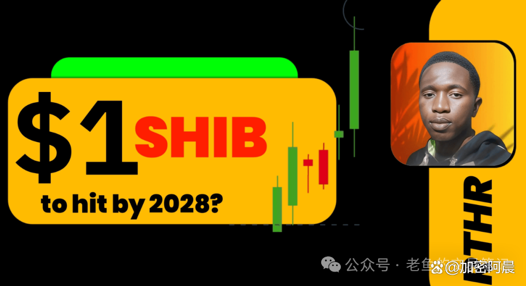 SHIB币价格今日行情(火币网shib币价格今日行情)