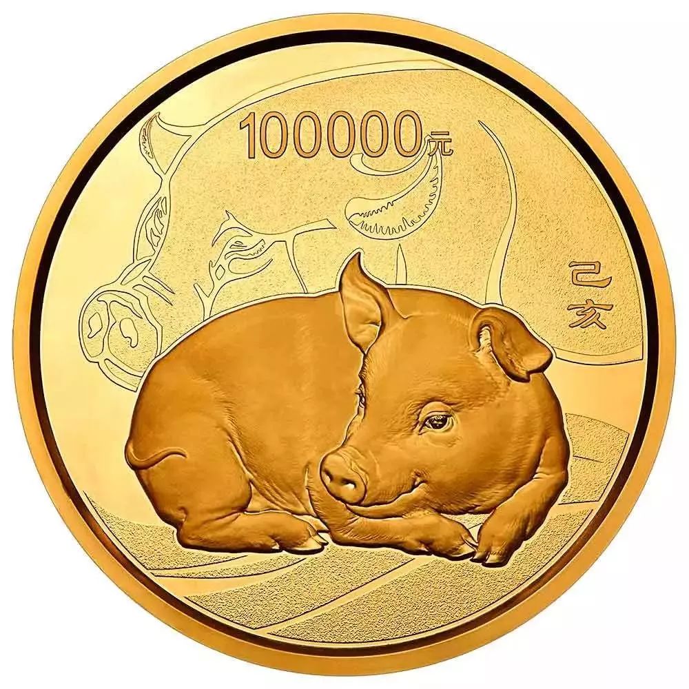 猪猪币(猪猪币的官网最新消息)