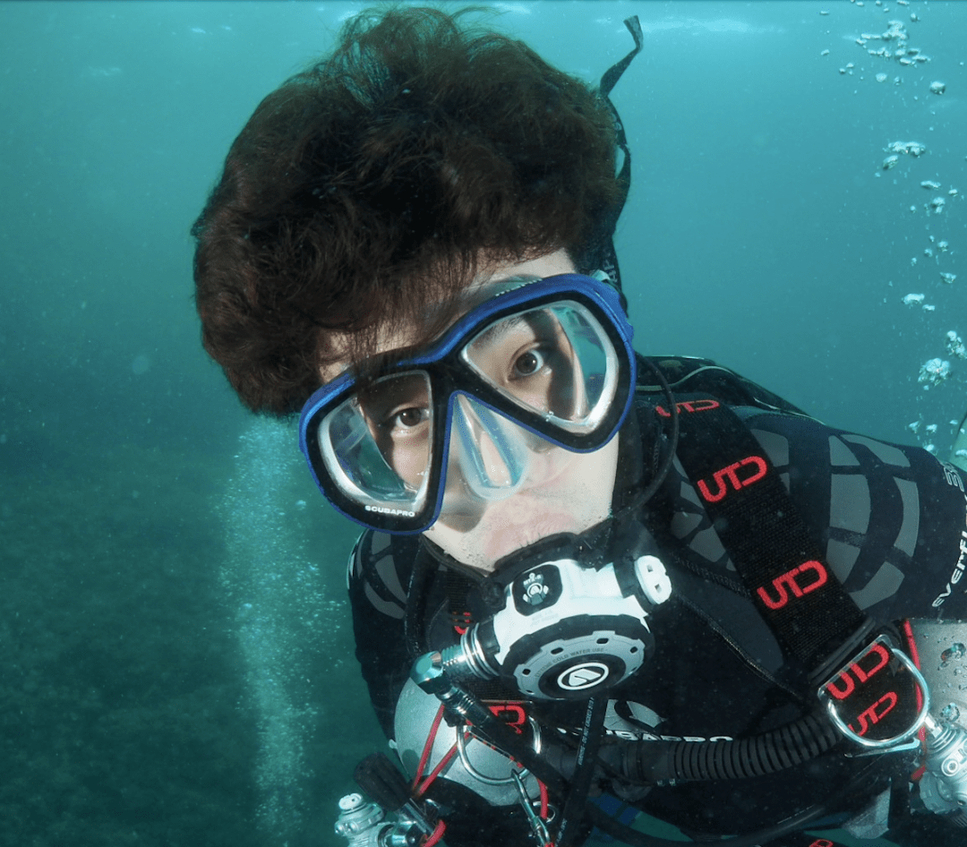 鲸探(鲸探是要倒闭了么)