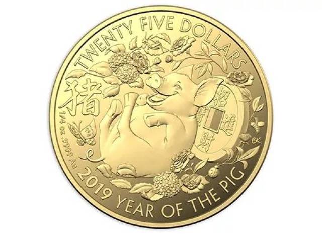 猪猪币(猪猪币最新价格行情)