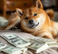 SHIB价格(shib价格非小号) SHIB价格(shib价格非小号)