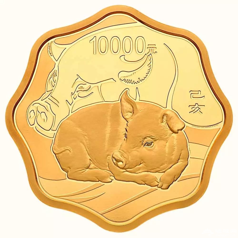 猪猪币(猪猪币的团队跑路了吗)