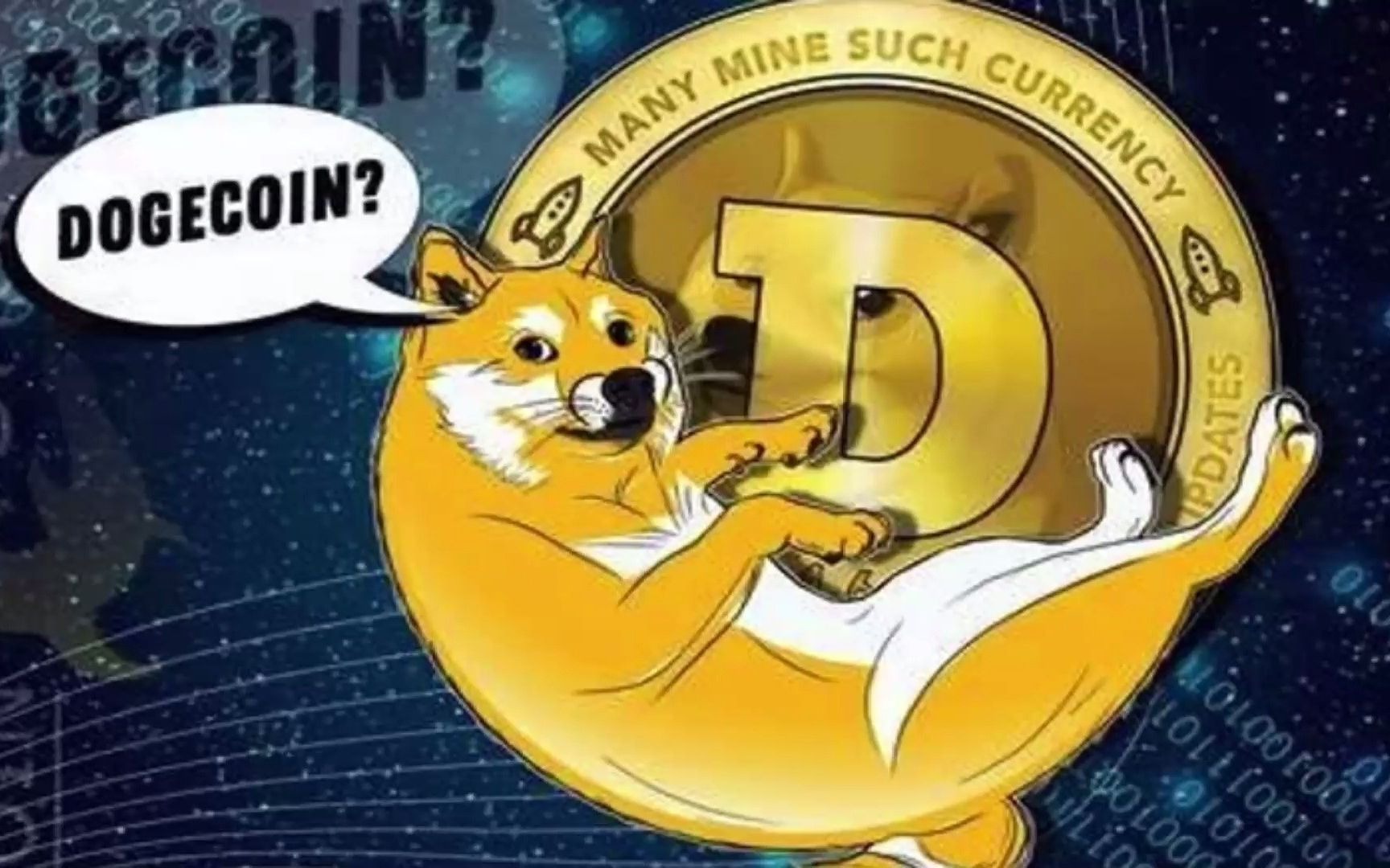 SHI币(shib币最新消息)