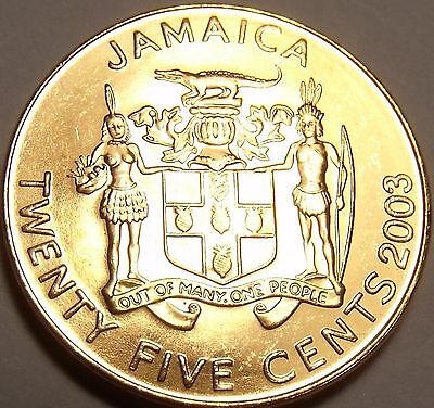 SHI币(shib币最新消息)