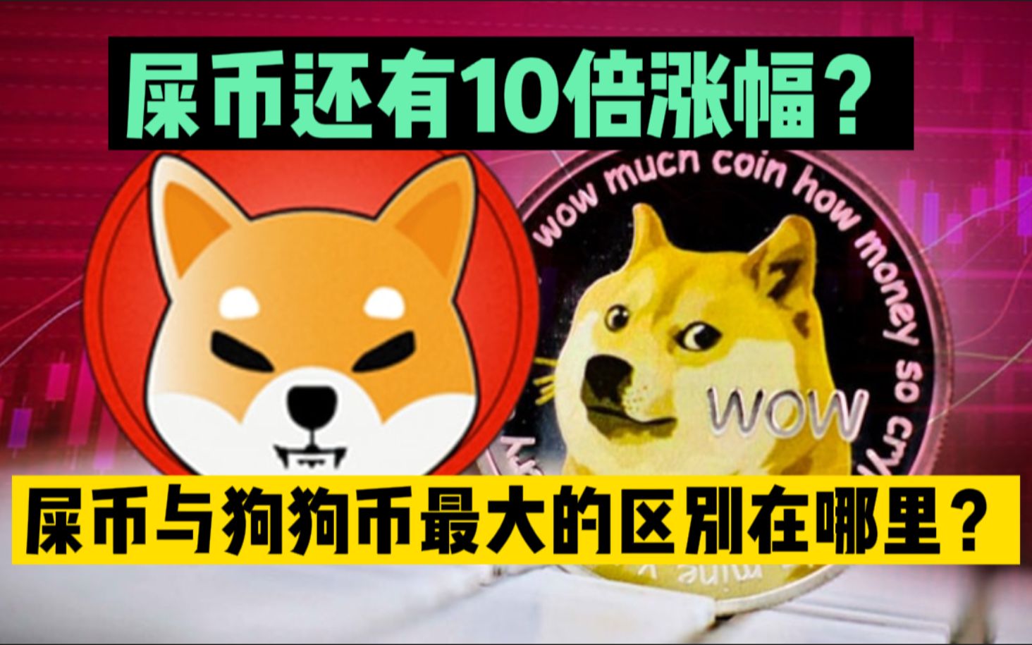 屎币最新价格(屎币最新价格消息)