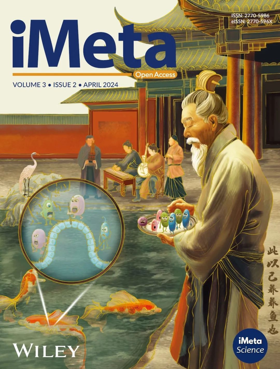 META(meta股票) META(meta股票)
