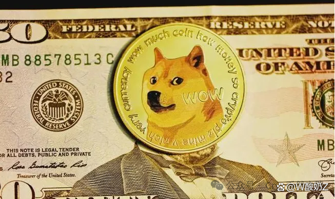 DOGE币(doge币历史最高价)