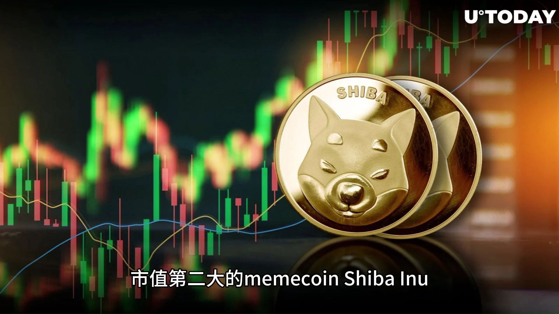 SHIB(shib币价格今日行情)