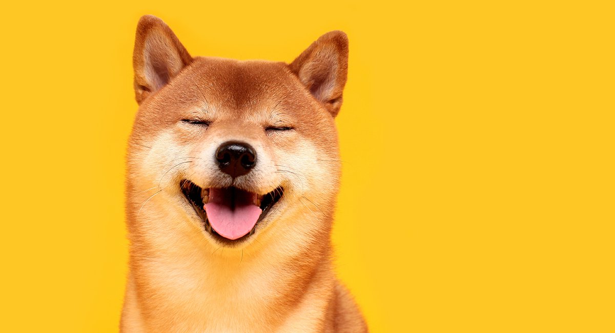 DOGECOIN(dogecoin官网下载)