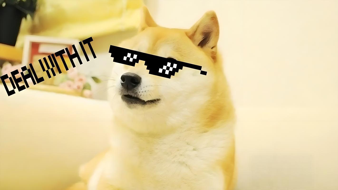 DOGECOIN(dogecoin挖矿手机版) DOGECOIN(dogecoin挖矿手机版)