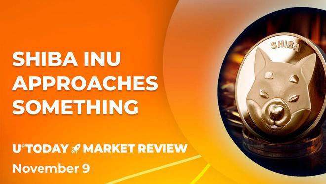 SHIB(一千块钱买了shib赚了7200万)