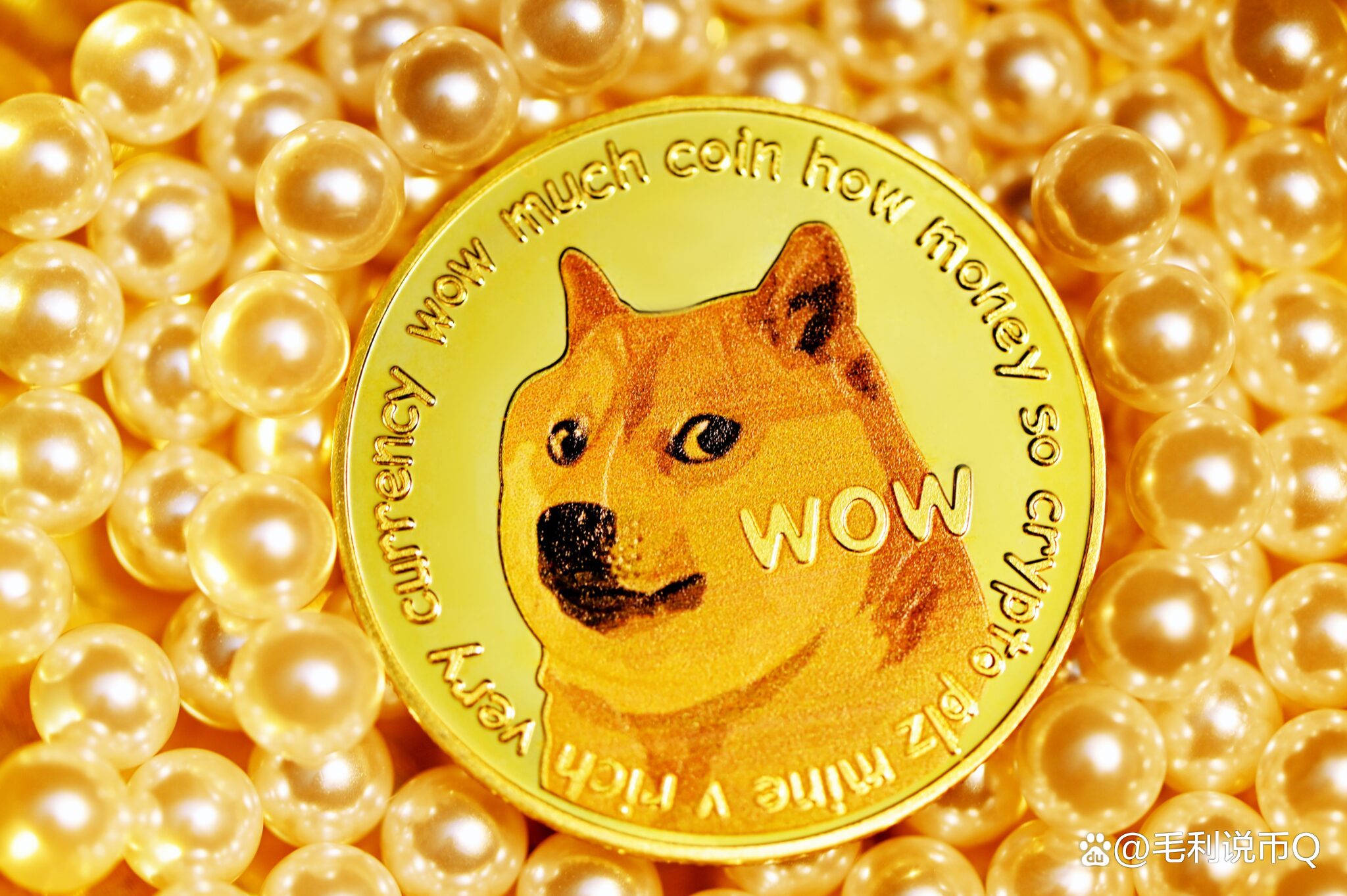 DOGECOIN(dogecoin币最新价格)