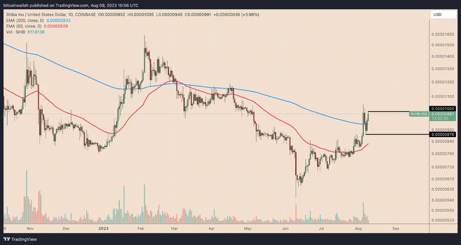 SHIB(shibuyasky) SHIB(shibuyasky)