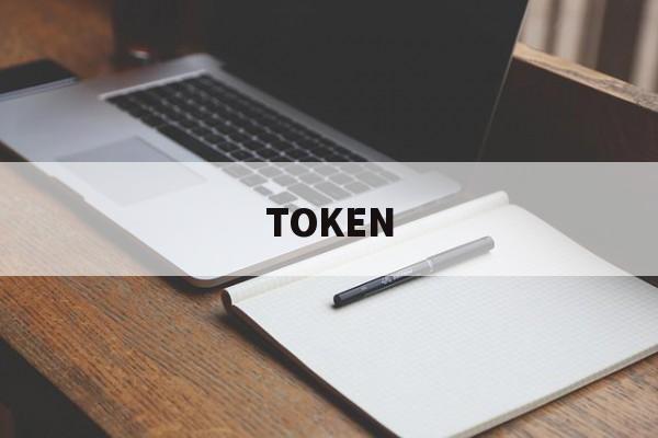 TOKEN(token登录)